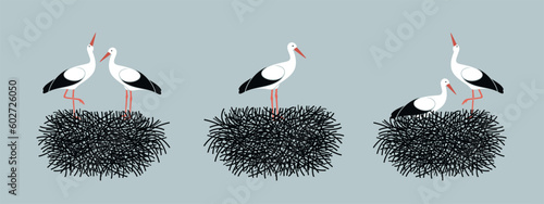 Stork set. Isolated stork on white background