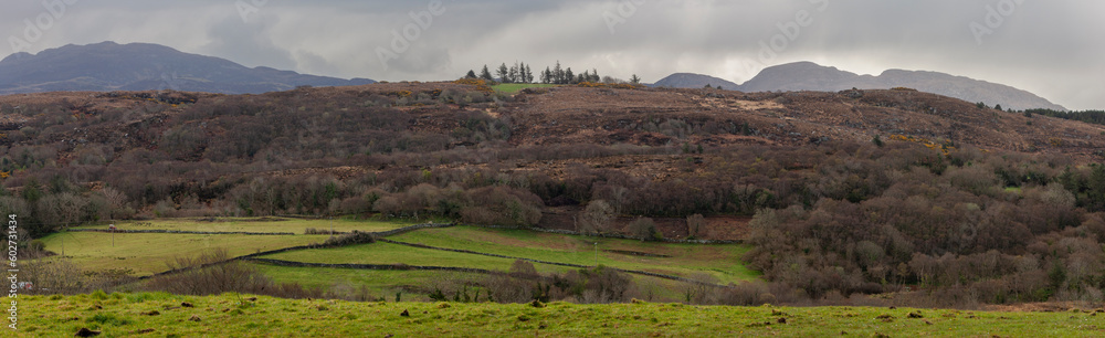 Landscape of Ireland. Spring green fields with hills