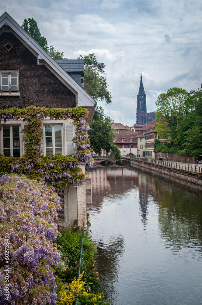 La Petite France, canaux du Rhin à Strasbourg La Petite France, canaux du Rhin à Strasbourg