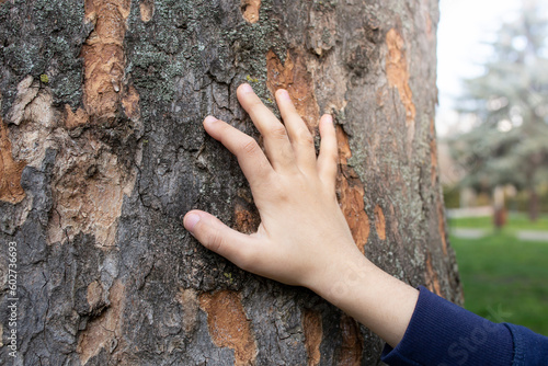 Child hand on a tree bark texture, soft focus close up © Dorin