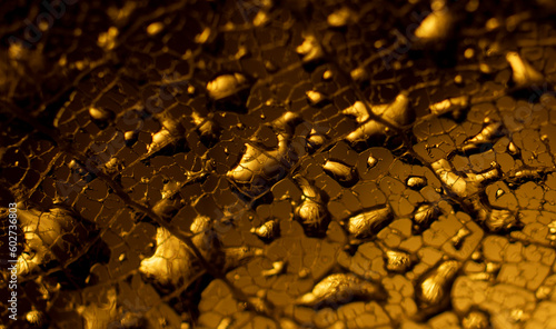Water drops on a leaf skeleton nerves, on dark golden background