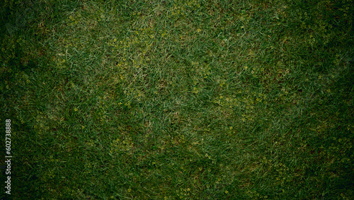 green grass background