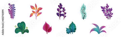 Abstract Plants and Foliage with Unusual Shapes and Colors Vector Set