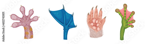 Animal Paw and Animalistic Pets Claw Vector Set