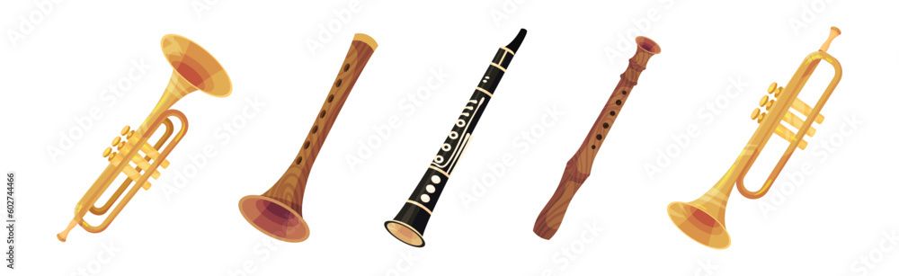 Wind Musical Instrument with Mouthpiece for Blowing Vector Set Wind Musical Instrument with Mouthpiece for Blowing Vector Set