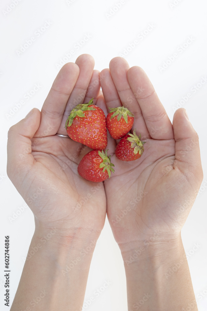 Obraz premium Hands holding four strawberries seen from above on a white background