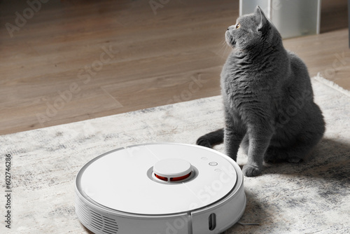 Robot vacuum cleaner and British cat in the interior of the living room, smart vacuum cleaner.