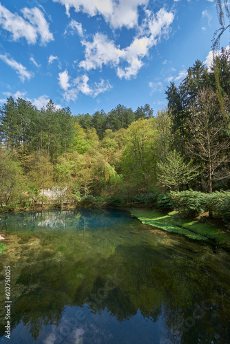 Fototapeta Naklejka Na Ścianę i Meble -  Blue water spring Vrelo reke Mlave izvor - Source of river Mlava - Beautiful nature 