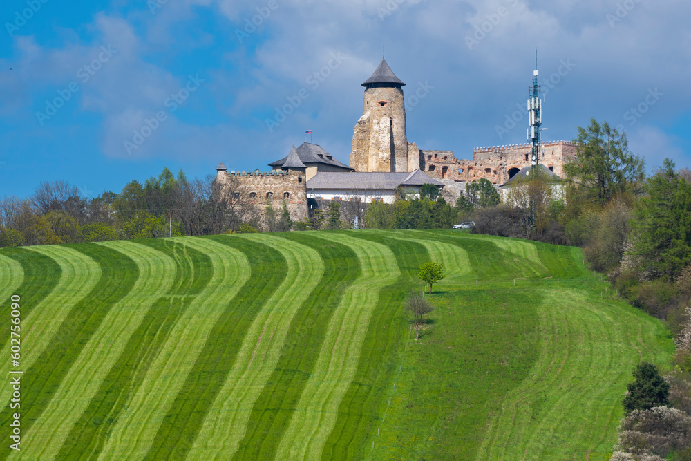 Europe, Slovakia, Stara Lubovna, Altlublau - castle and Perfectly striped freshly mowed grass meadow in spring.