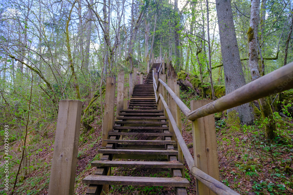 Wooden stairs on hiking trails. The beautiful forests of Latvia. Gauja National Park, Sigulda Wooden stairs on hiking trails. The beautiful forests of Latvia. Gauja National Park, Sigulda
