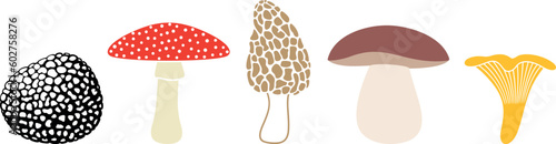 Mushroom logo. Isolated mushroom on white background
