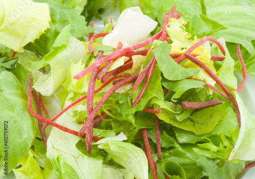 lettuce green salad - healthy eating - vegetables - close up