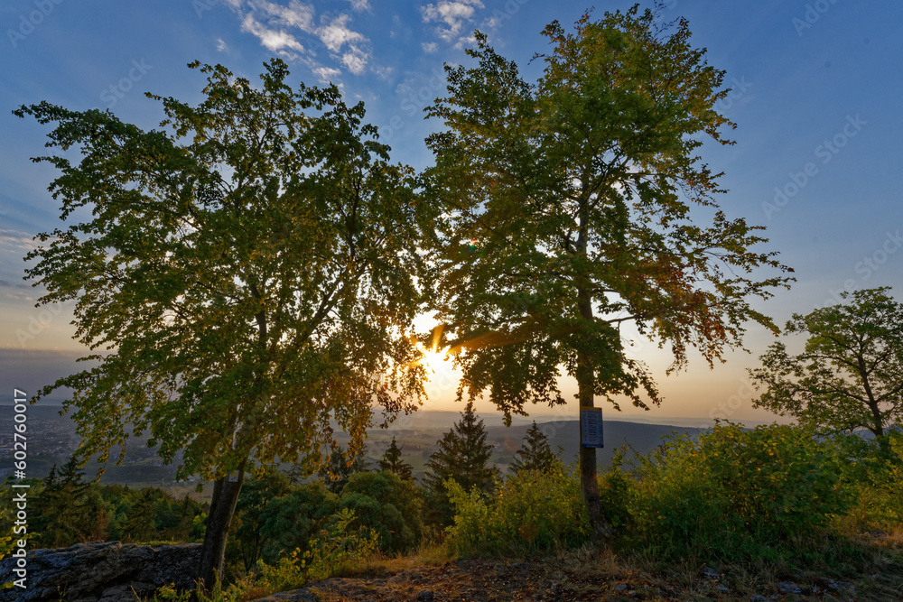 Sonnenaufgang und Bäume am Kordigast