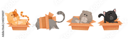 Cat and Cardboard Box Sitting Inside and Playing Vector Set