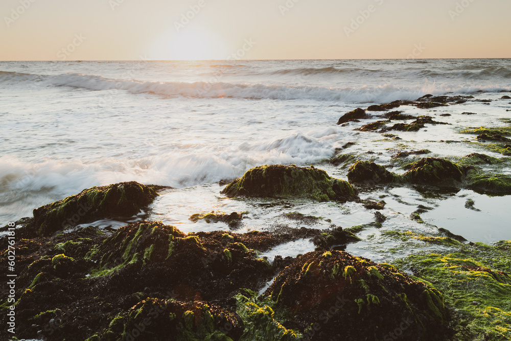 Seaweed rocks seascape sunrise sunset water and wave.
