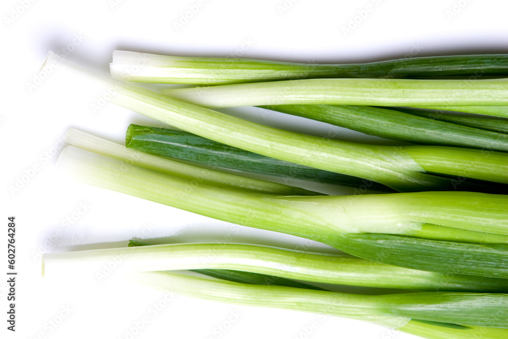 Fresh green onion on the white background Fresh green onion on the white background