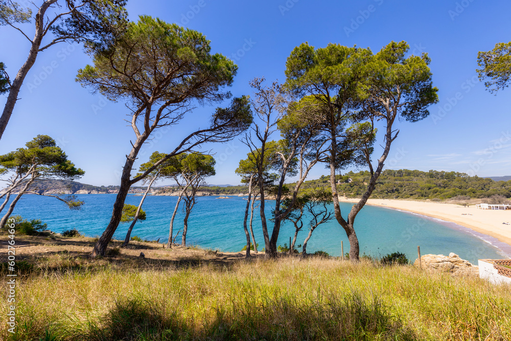 Nature in all its splendor: an experience for the senses. Costa Brava, near small town Palamos, Spain Nature in all its splendor: an experience for the senses. Costa Brava, near small town Palamos, Spain