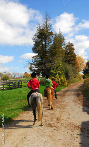 Children riding ponies on a countryside road