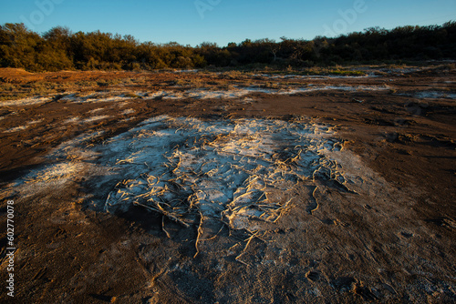 Semi desert environment landcape, La Pampa province, Patagonia, Argentina.