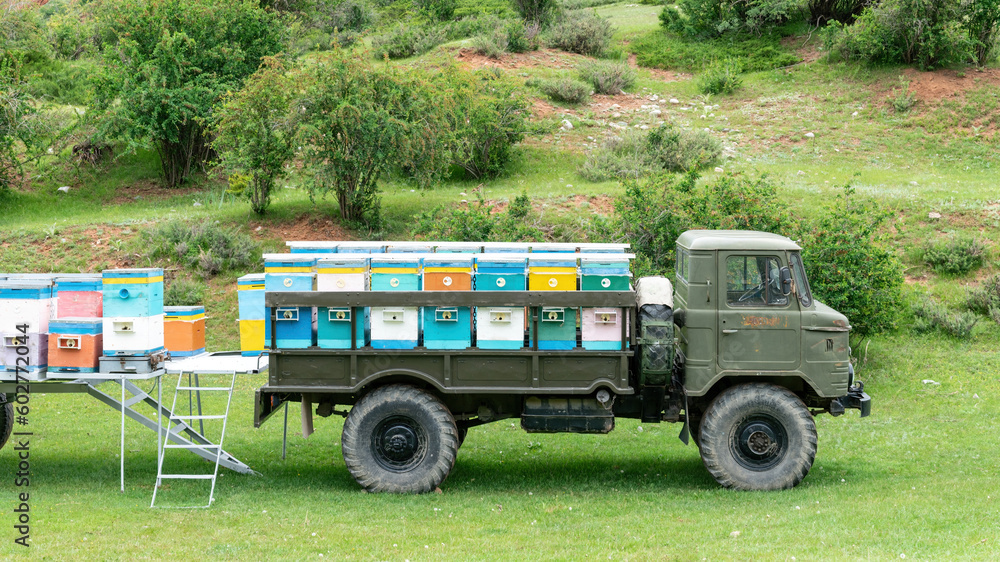 Fototapeta premium Bee hives stocked around an old truck in rural Kyrgyzstan. Bees play a vital role in pollinating plants and producing honey, a prized local product.