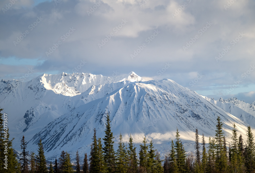 Alaskan Mountain