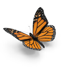 Monarch butterfly on the top scene or side preview