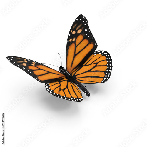Monarch butterfly on the top scene or side preview Fototapet