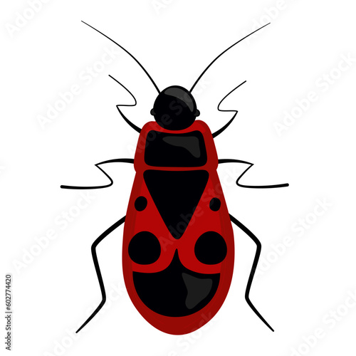 Red soldier beetle with black dots and spots on a white background. Vector illustration of ladybug, bedbug insect.