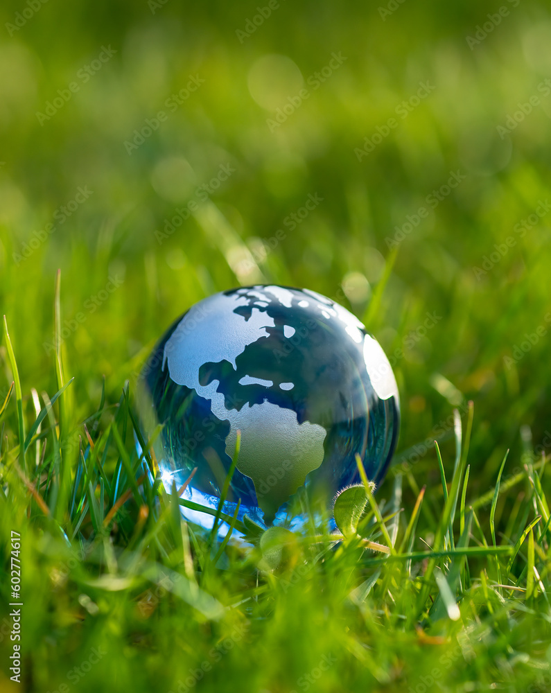 blue glass earth globe in grass blue glass earth globe in grass