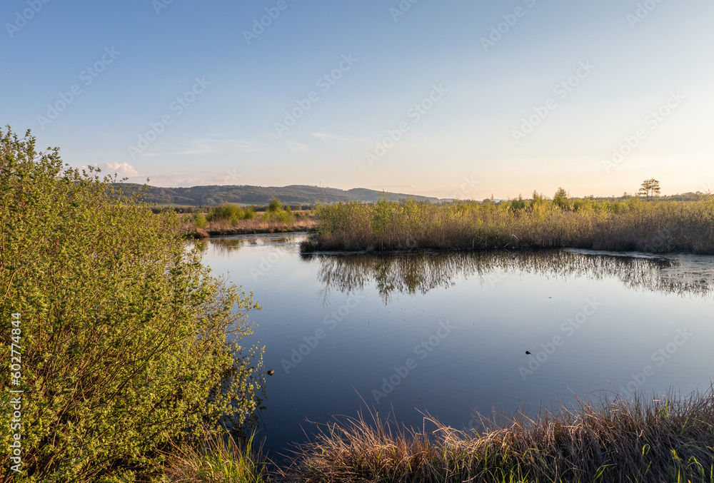 Bog  Grosses Torfmoor in Germany.