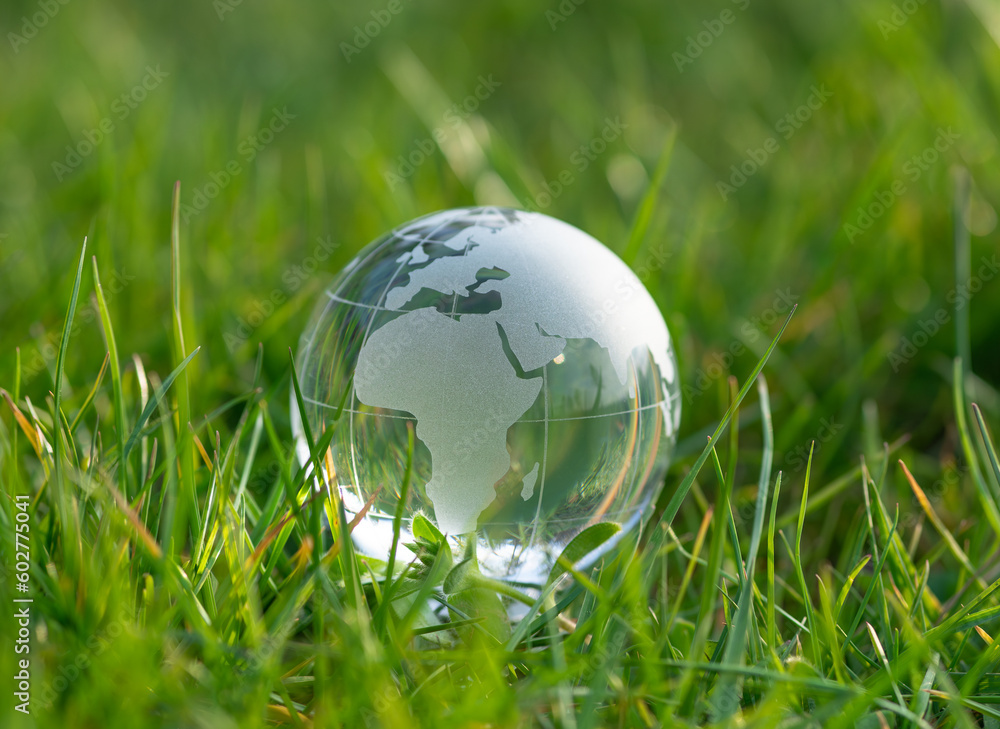 glass earth globe in grass glass earth globe in grass