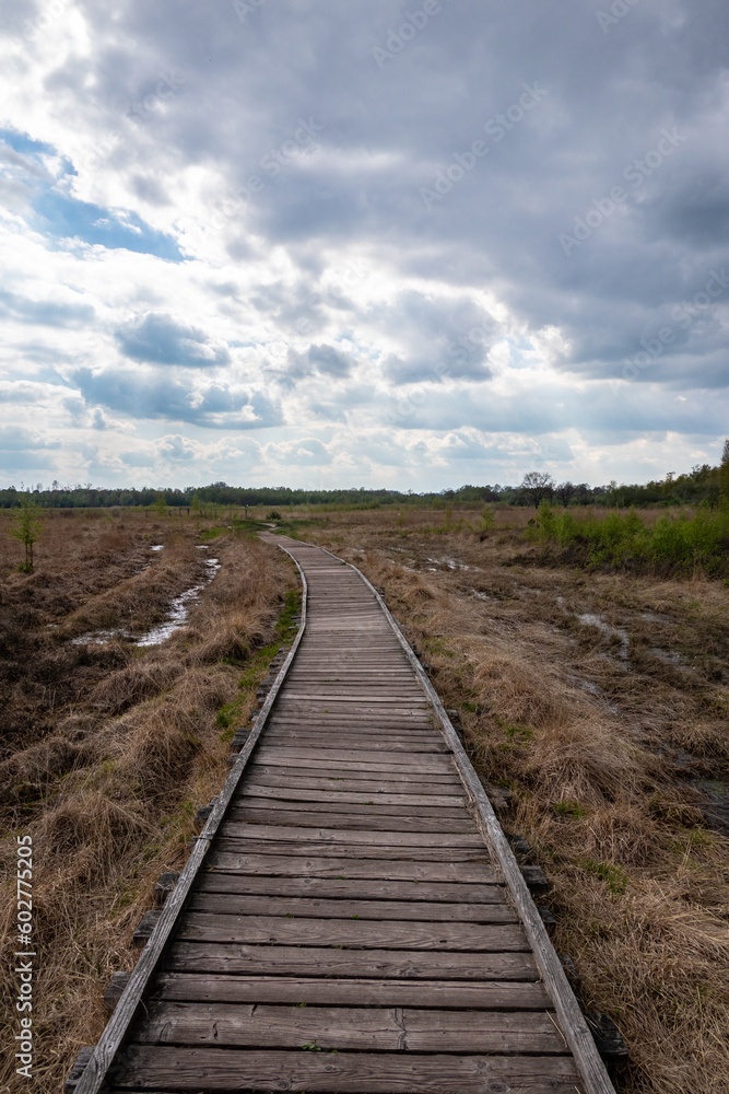 Bog Grosses Torfmoor and wooden bridge in Germany. Bog Grosses Torfmoor and wooden bridge in Germany.