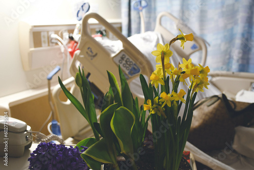 A daffodil arrangement in front of a hospital bed in New Jersey  photo