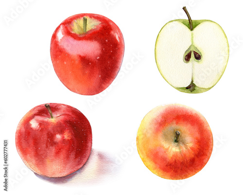 Set of watercolor apples isolated on white background. Hand drawn illustration.
