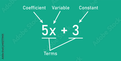 Algebraic expressions parts in mathematics. Coefficient, variable, constant and terms. Parts of an expression. Math resources for teachers.