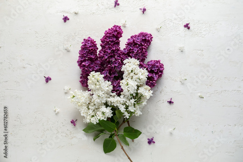Bouquet of beautiful fragrant lilac flowers on white textured background