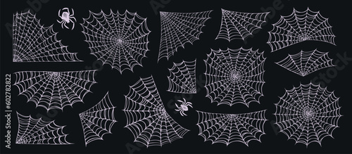 Spider and web set. Concept Halloween decoration design. Cobweb collection elements illustration