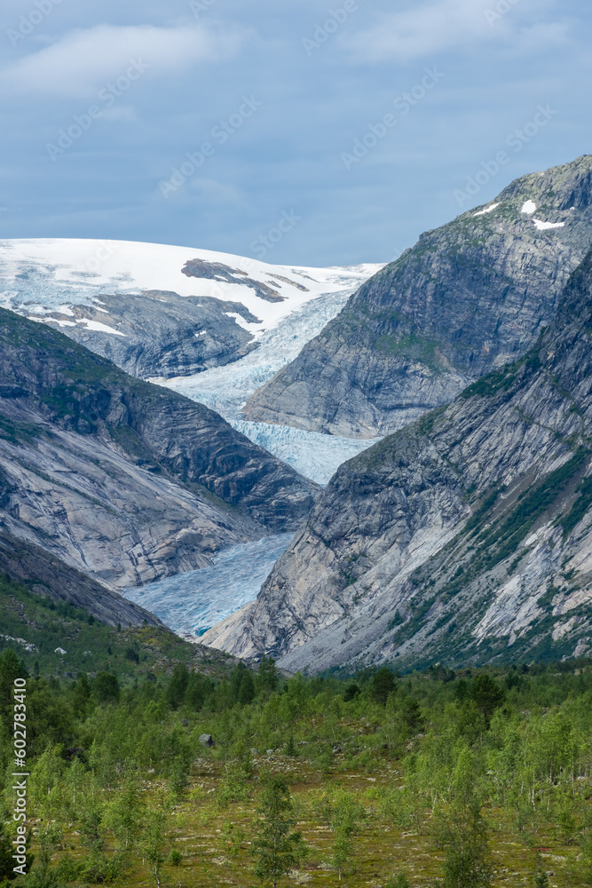 Landscape view of the Nigardsbreen melting glacier and the forest in  Norway