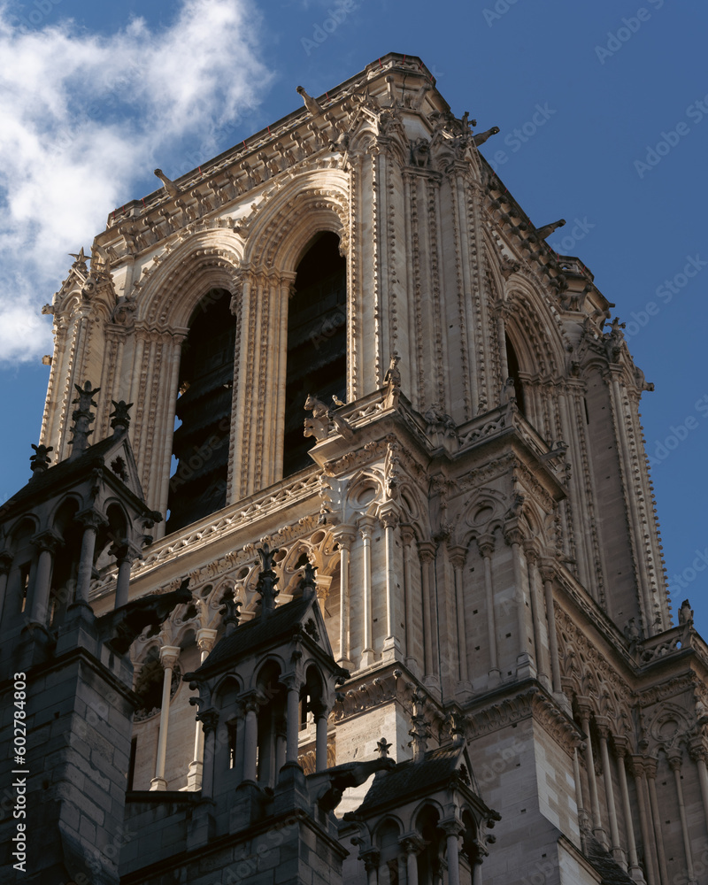 Part of Notre Dame in Paris