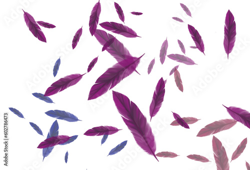 bird feathers flying purple blue and orange on white background