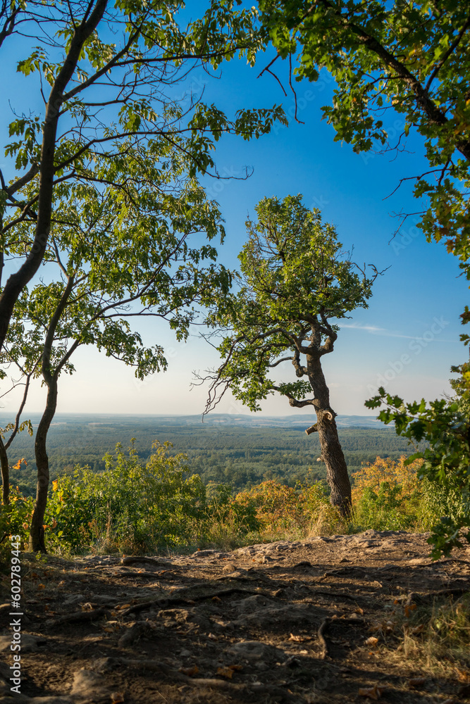 View from the Bakony on a summer day View from the Bakony on a summer day