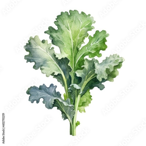 Wallpaper Mural kale leaves isolated on a white background, generative ai Torontodigital.ca