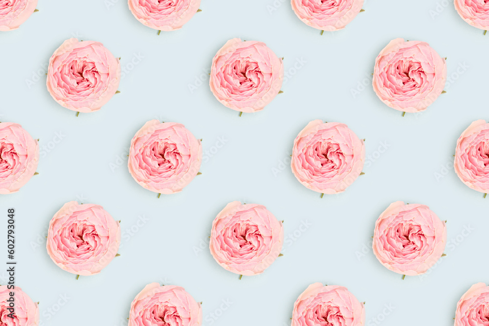 Repetitive pattern made of pink rose flower on a blue background. Floral backdrop. Repetitive pattern made of pink rose flower on a blue background. Floral backdrop.