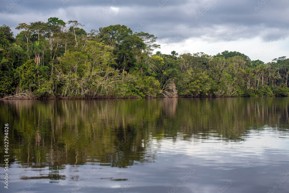 Amazon river rainforest reflection, comprising the countries of Brazil, Bolivia, Colombia, Ecuador, (French) Guyana, Suriname, Peru and Venezuela.