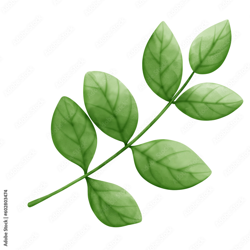 leaf line art bohemian style. leaf line art bohemian style.