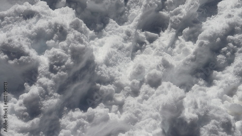 Tableau sur toile Solo coberto de neve em um parque do Chile em 2022.