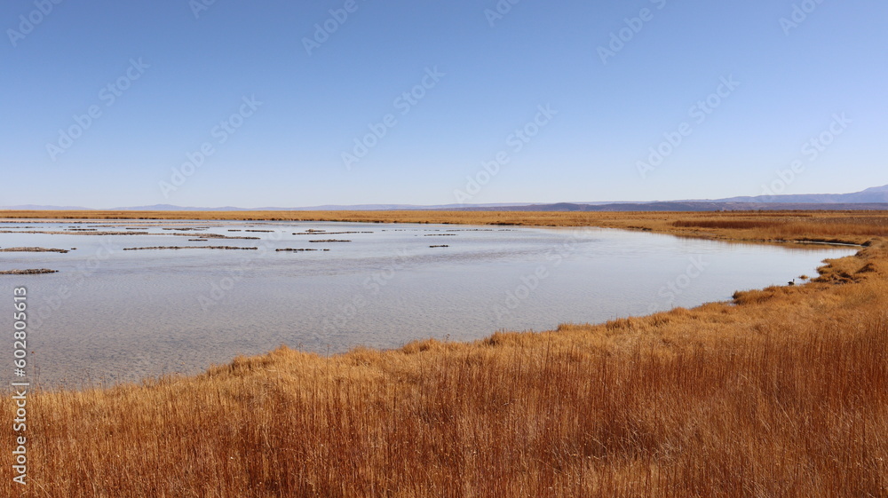 Paisagem do deserto do Atacama, Chile, com dunas de areia e montanhas ao fundo, céu limpo e azul, característico do deserto Paisagem do deserto do Atacama, Chile, com dunas de areia e montanhas ao fundo, céu limpo e azul, característico do deserto