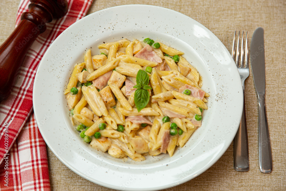 Prato de Macarrão no formato penne com molho branco italiano