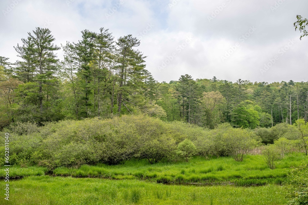 landscape landscape