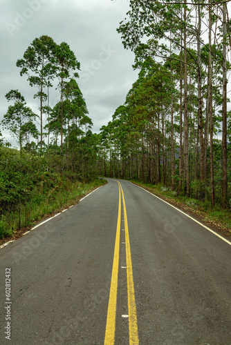 estrada no distrito de Lavras Novas, cidade de Ouro Preto, Estado de Minas Gerais, Brasil